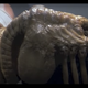 Image via 20th Century Fox.